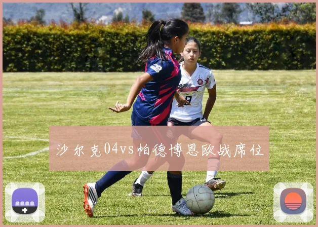 沙尔克04vs帕德博恩欧战席位